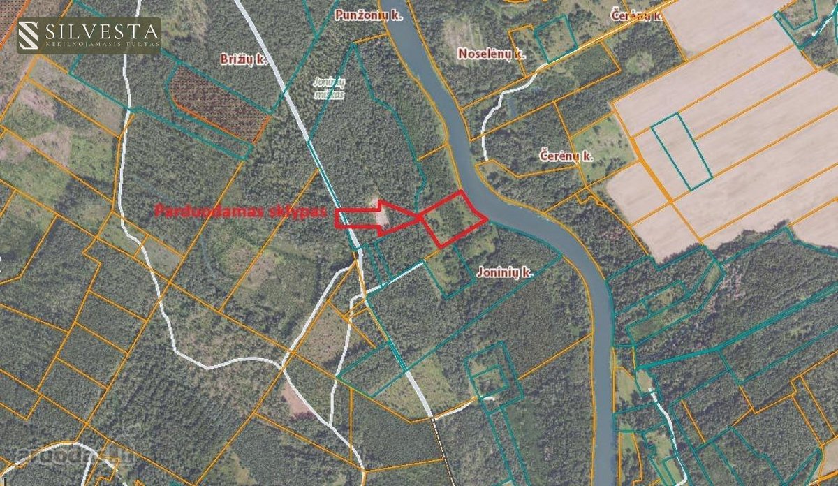 Parduodamas sklypas Joninių k., 170.17 a ploto - nuotraukos Nr. 2