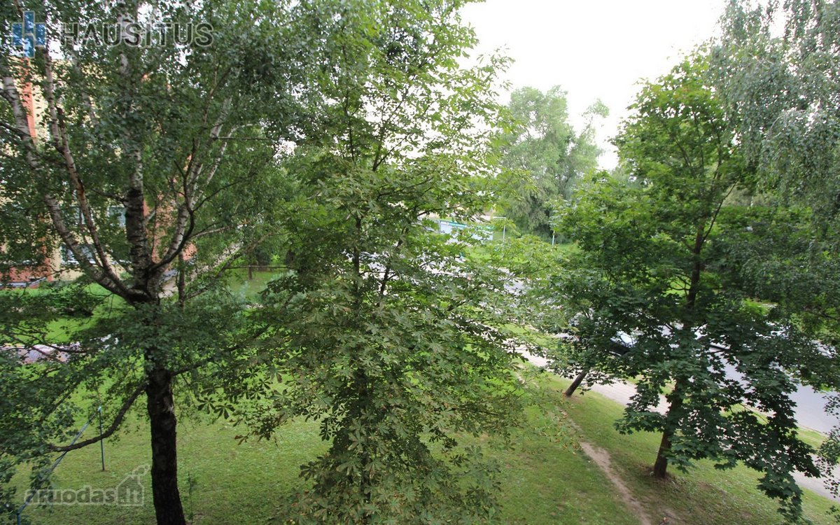 Erdvus 4 Kambarių Butas Parko G. – Patogiam - nuotraukos Nr. 11