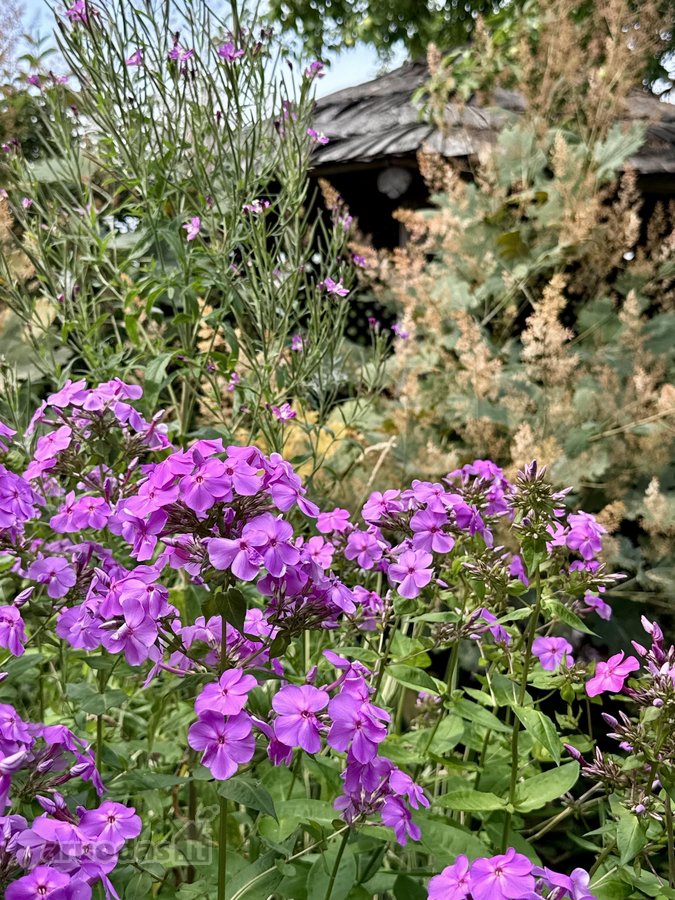 Parduodamas pilnai įrengtas mūrinis sodo - nuotraukos Nr. 47