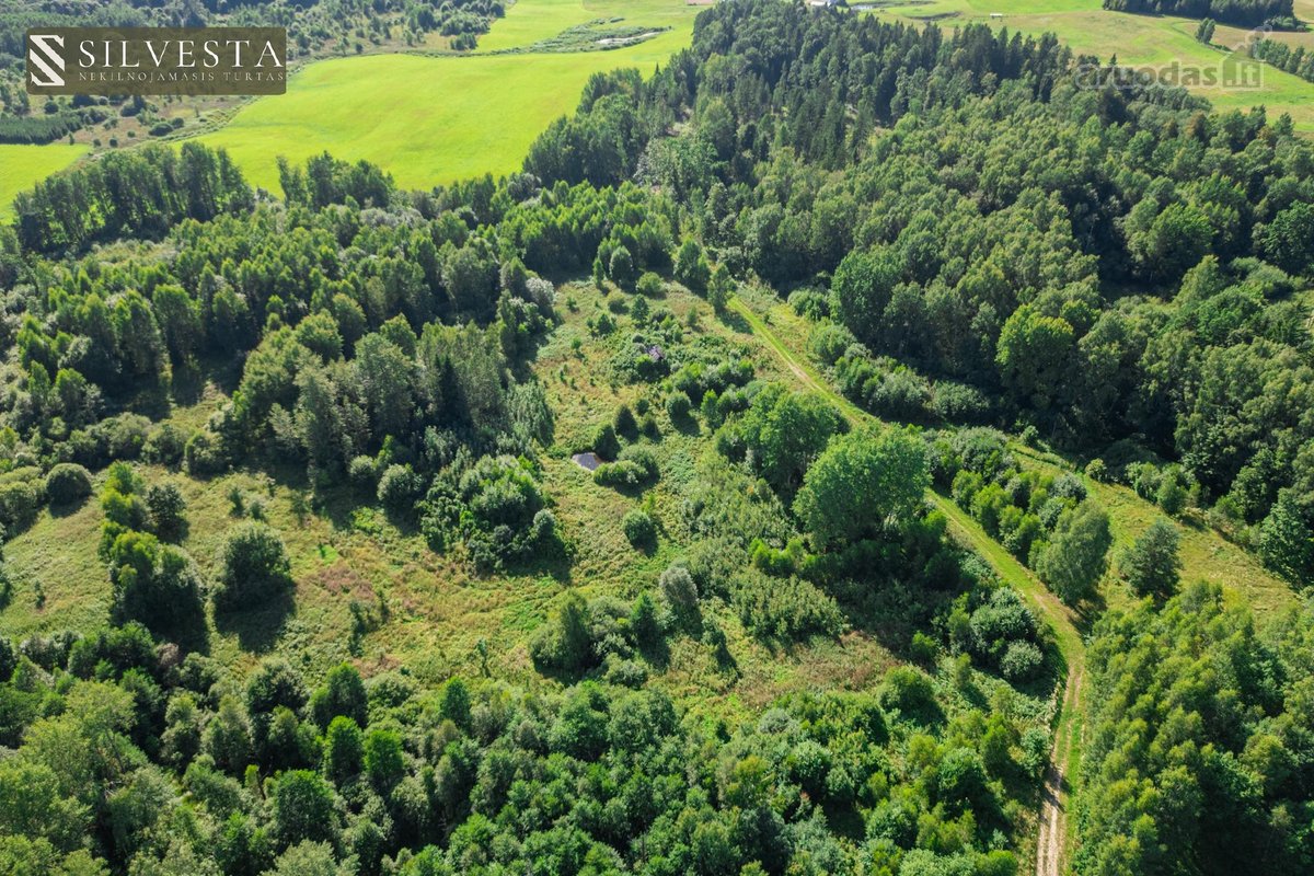 Parduodamas 2,33 Ha Sklypų Masyvas Su Sodybos - nuotraukos Nr. 2