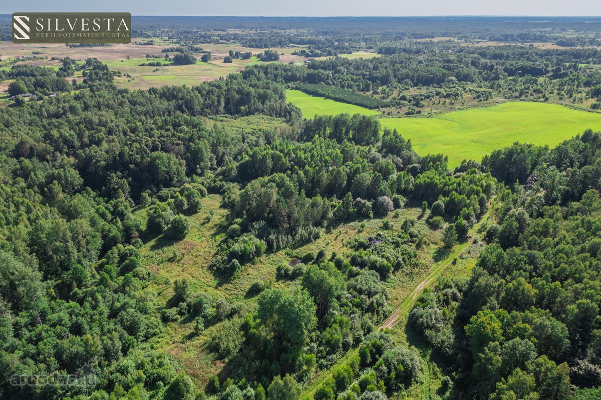 Parduodamas 2,33 Ha Sklypų Masyvas Su Sodybos - nuotraukos Nr. 3