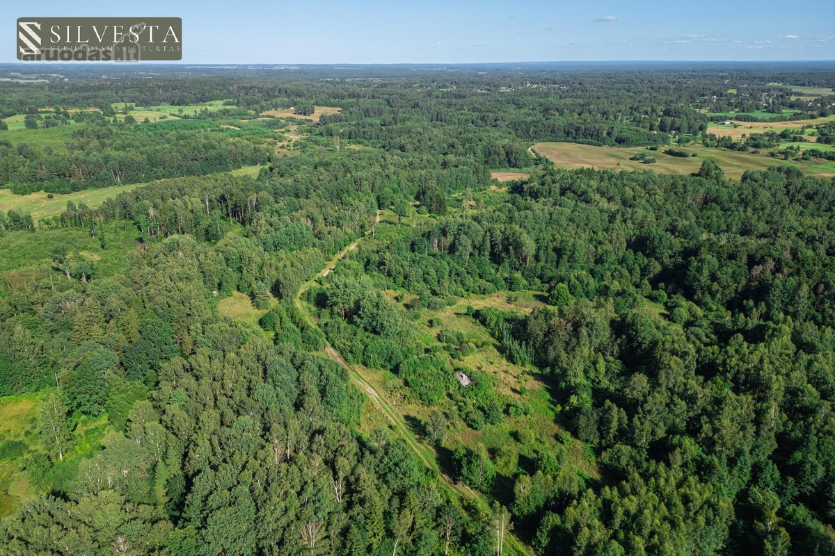 Parduodamas 2,33 Ha Sklypų Masyvas Su Sodybos - nuotraukos Nr. 4