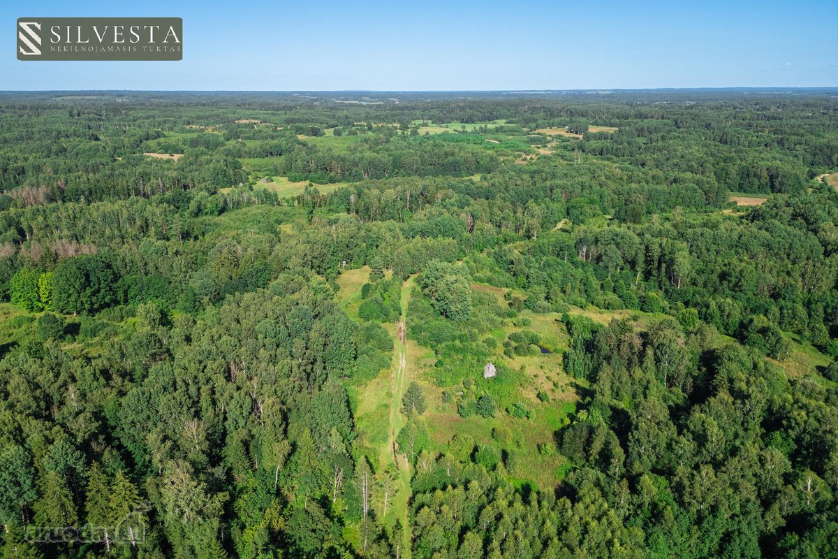 Parduodamas 2,33 Ha Sklypų Masyvas Su Sodybos - nuotraukos Nr. 5