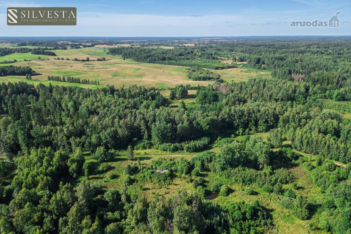 Parduodamas 2,33 Ha Sklypų Masyvas Su Sodybos - nuotraukos Nr. 6