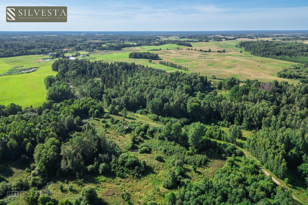Parduodamas 2,33 Ha Sklypų Masyvas Su Sodybos - nuotraukos Nr. 7