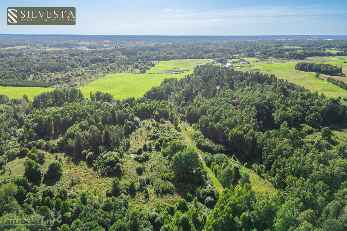 Parduodamas 2,33 Ha Sklypų Masyvas Su Sodybos - nuotraukos Nr. 8