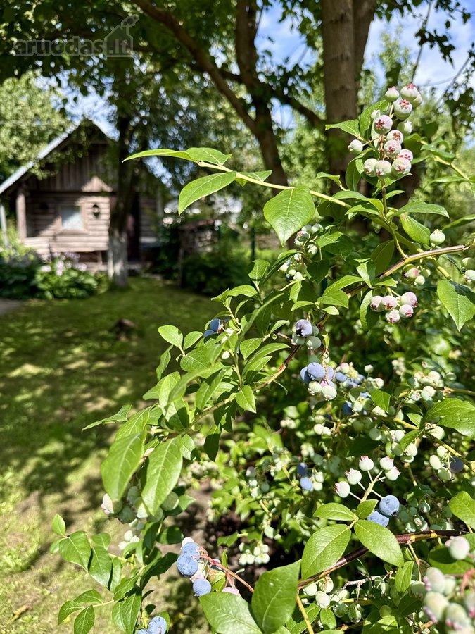 Parduodamas pilnai įrengtas mūrinis sodo - nuotraukos Nr. 32