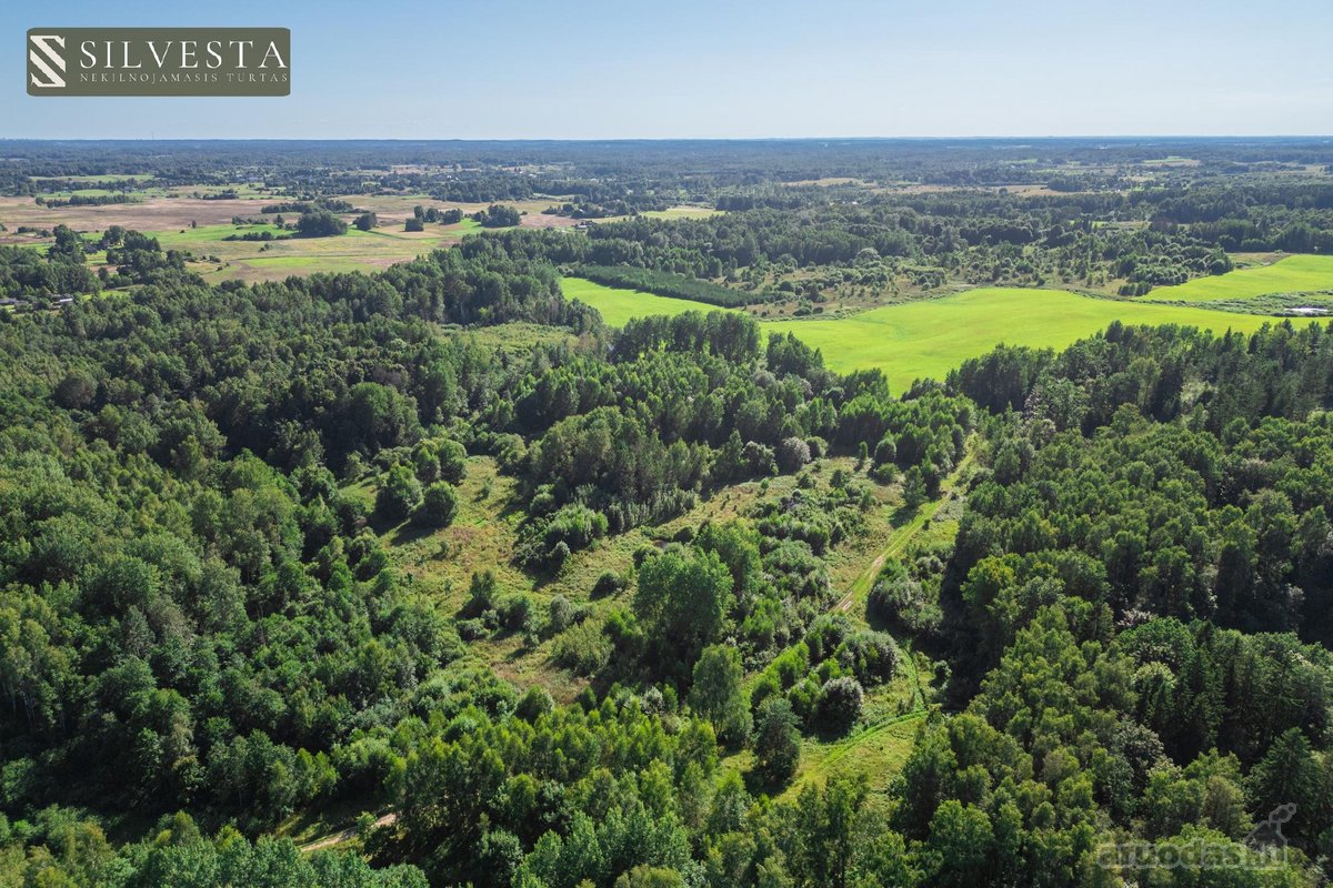 Parduodamas 2,33 Ha Sklypų Masyvas Su Sodybos - nuotraukos Nr. 9