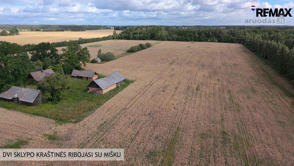 Parduodamas 9,30 ha žemės ūkio paskirties - nuotraukos Nr. 2