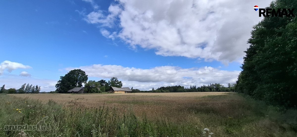 Parduodamas 9,30 ha žemės ūkio paskirties - nuotraukos Nr. 3