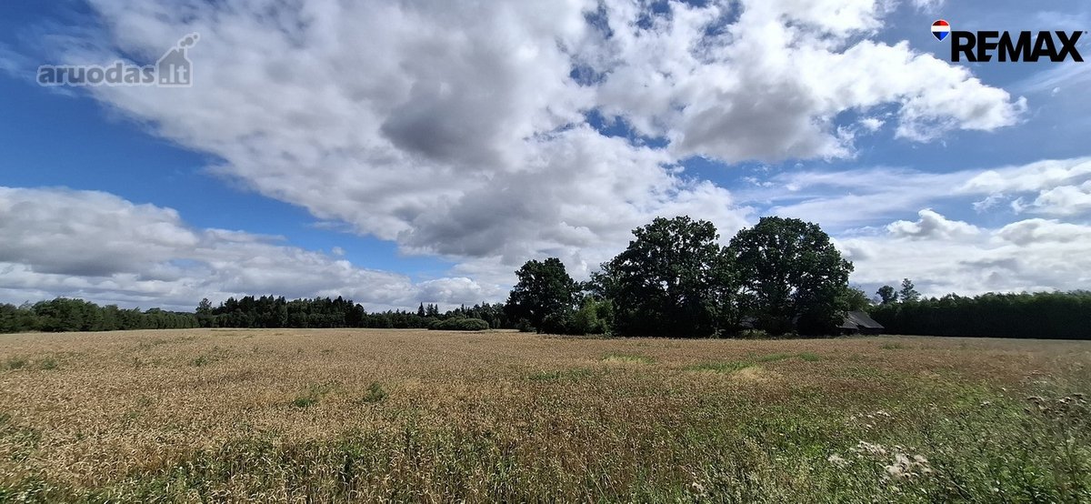 Parduodamas 9,30 ha žemės ūkio paskirties - nuotraukos Nr. 4