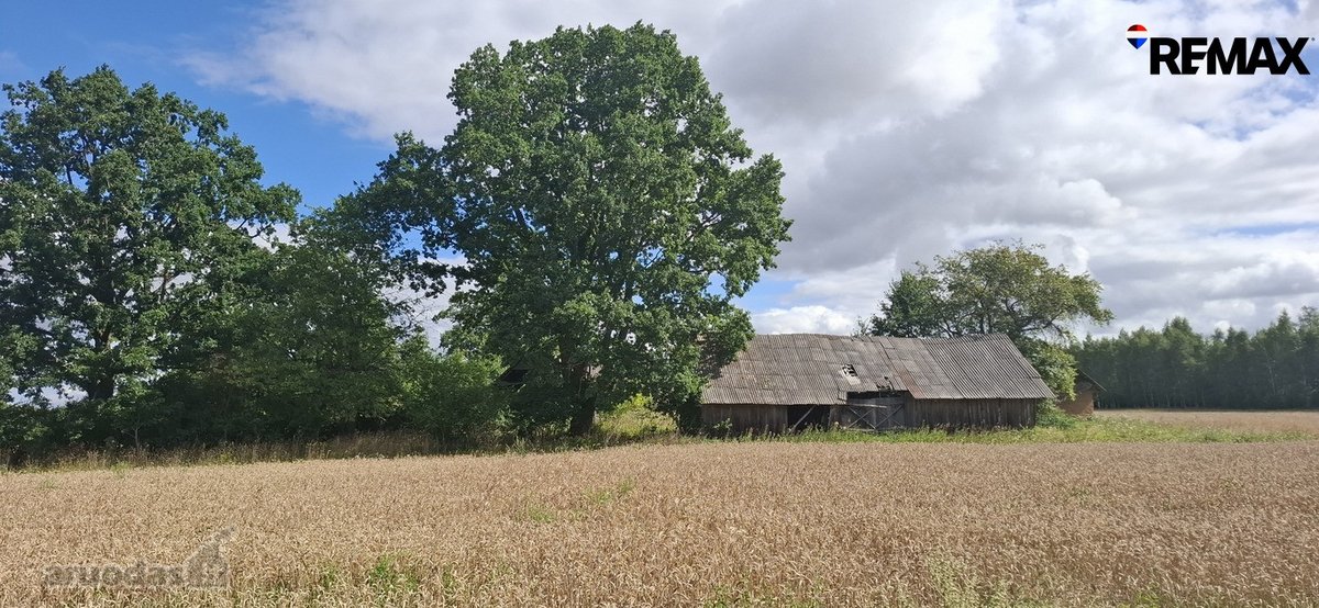 Parduodamas 9,30 ha žemės ūkio paskirties - nuotraukos Nr. 5
