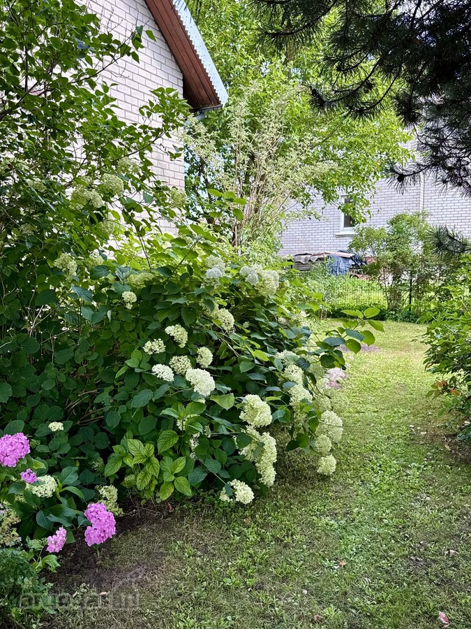 Parduodamas pilnai įrengtas mūrinis sodo - nuotraukos Nr. 10