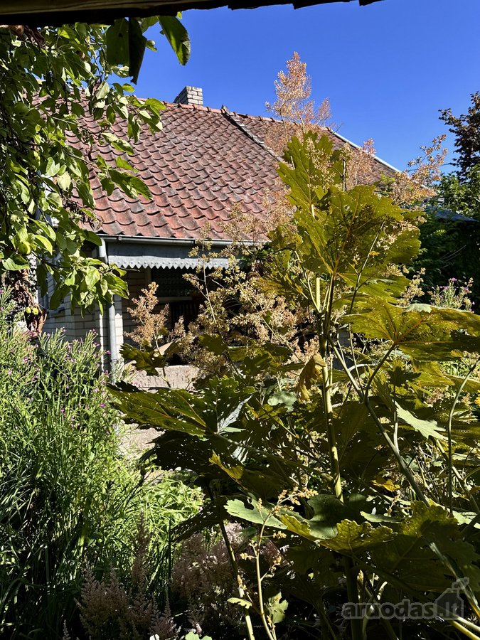 Parduodamas pilnai įrengtas mūrinis sodo - nuotraukos Nr. 53