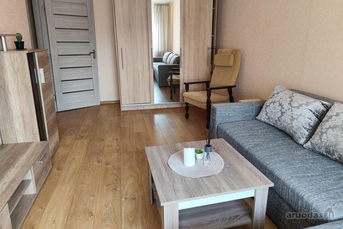 Jaukus 1 kambario butas pilnai renovuotame - nuotraukos Nr. 3