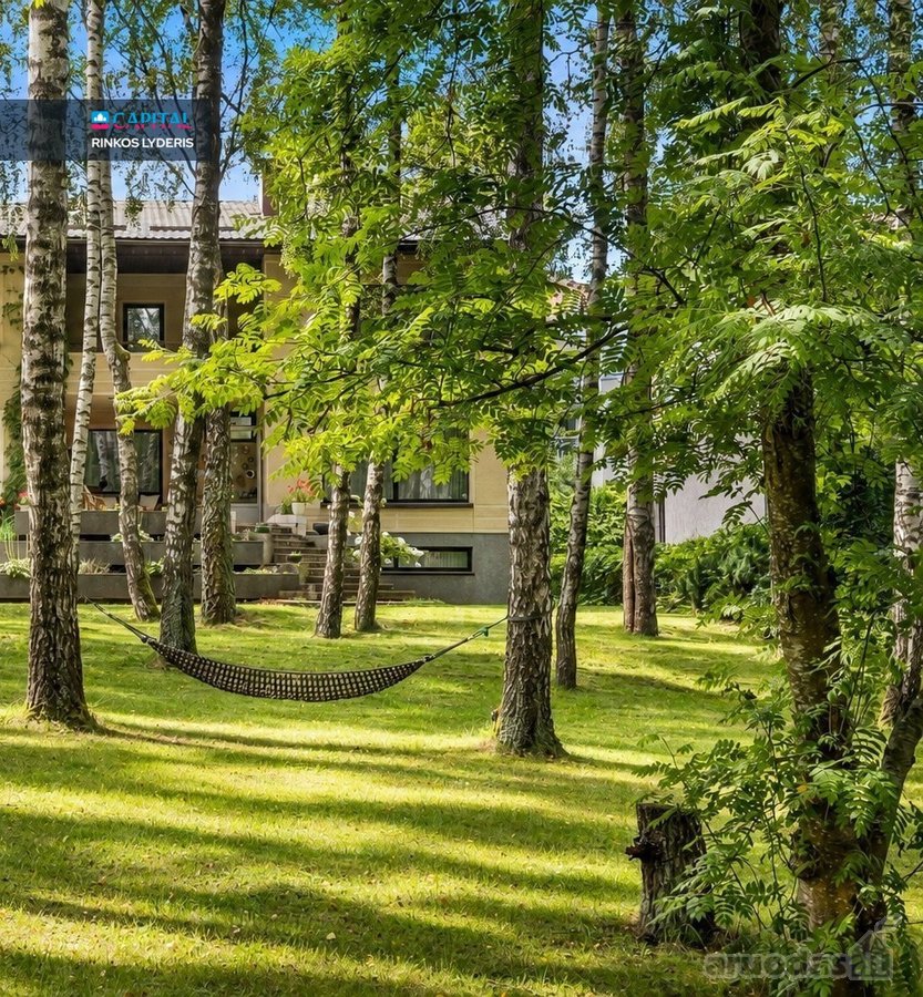 Pažvelgsite į savo ošiantį beržynėlį. - nuotraukos Nr. 11