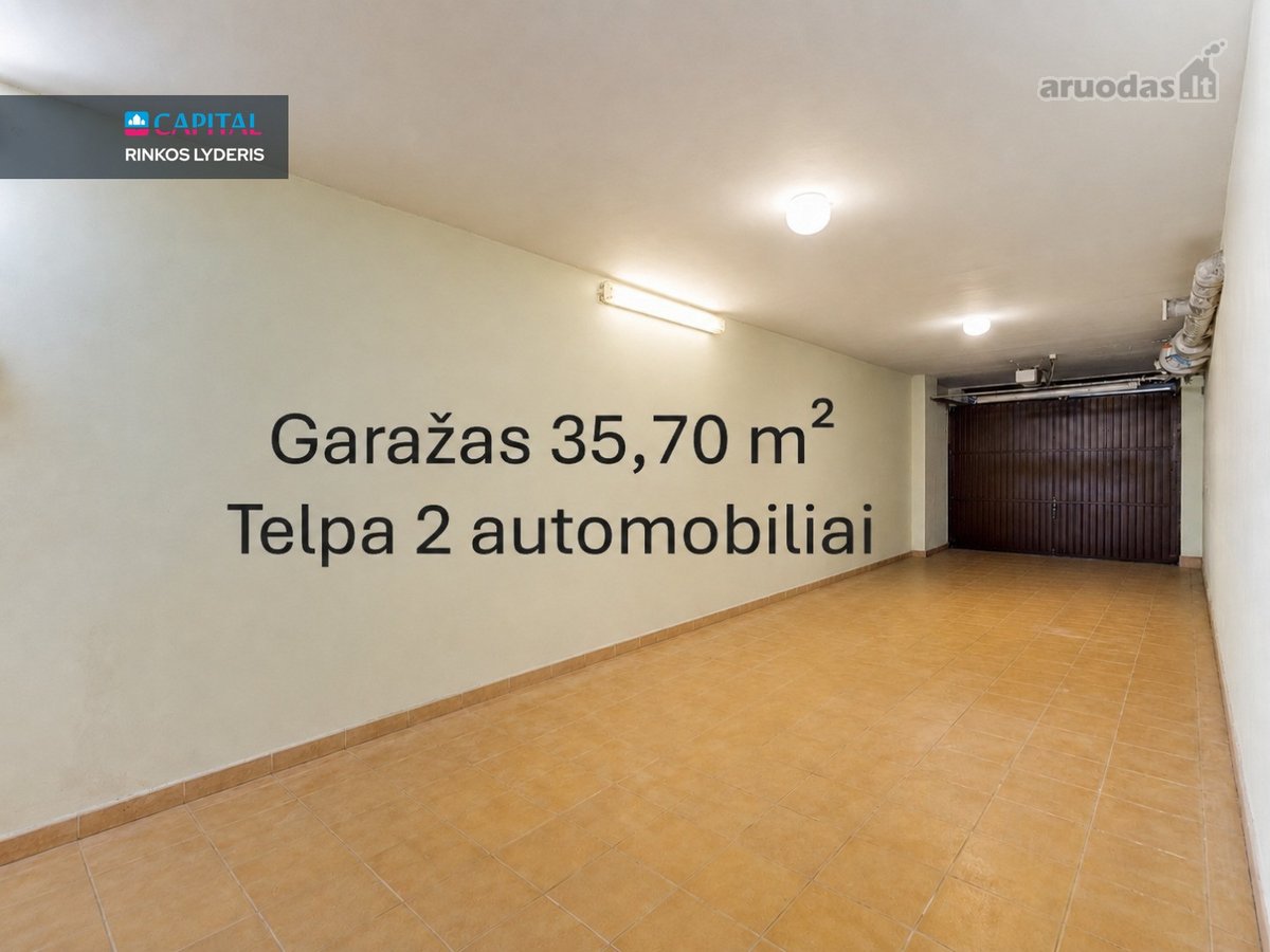 Pažvelgsite į savo ošiantį beržynėlį. - nuotraukos Nr. 19