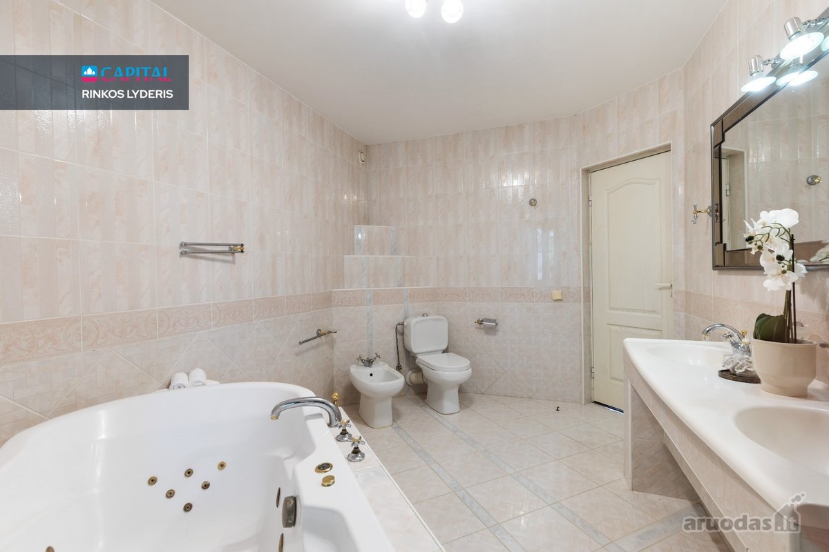Pažvelgsite į savo ošiantį beržynėlį. - nuotraukos Nr. 34