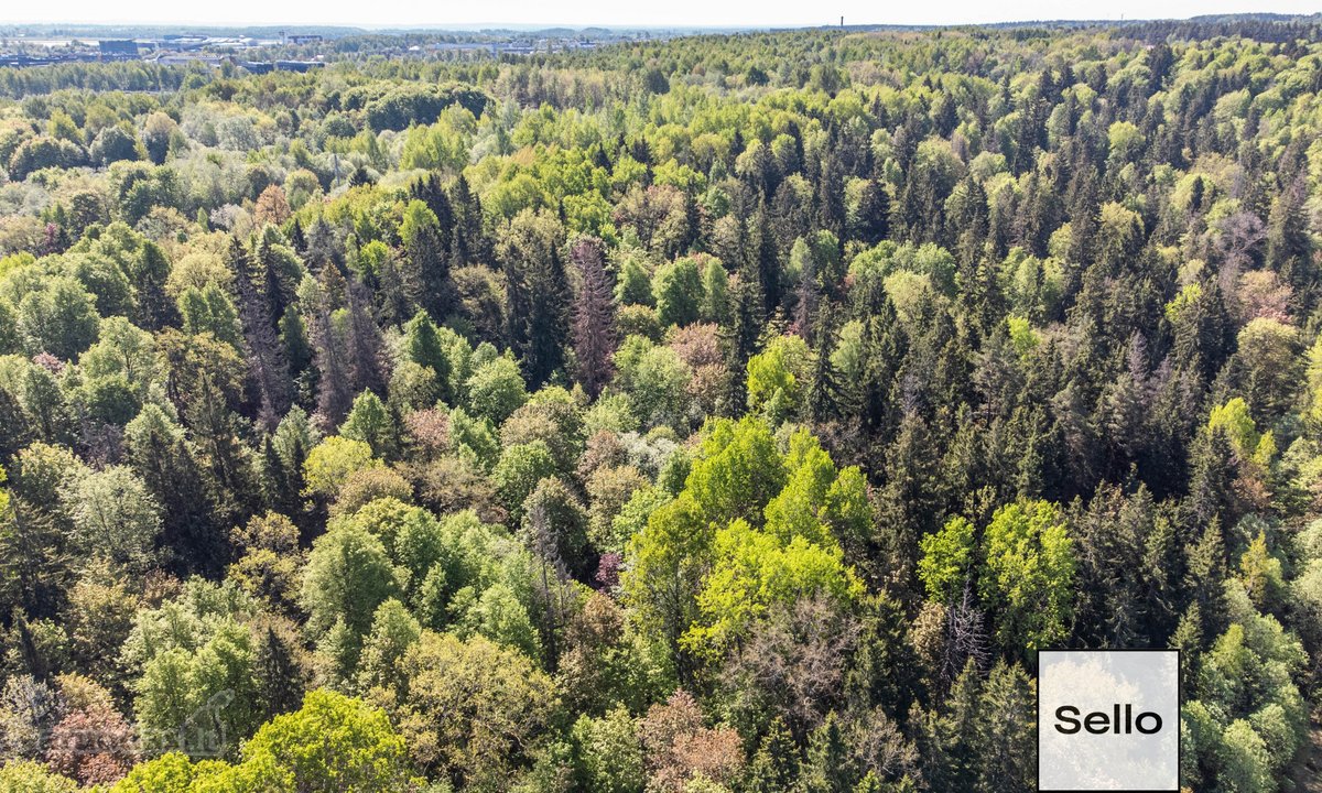 – Nt ekspertai be procentų - nuotraukos Nr. 33