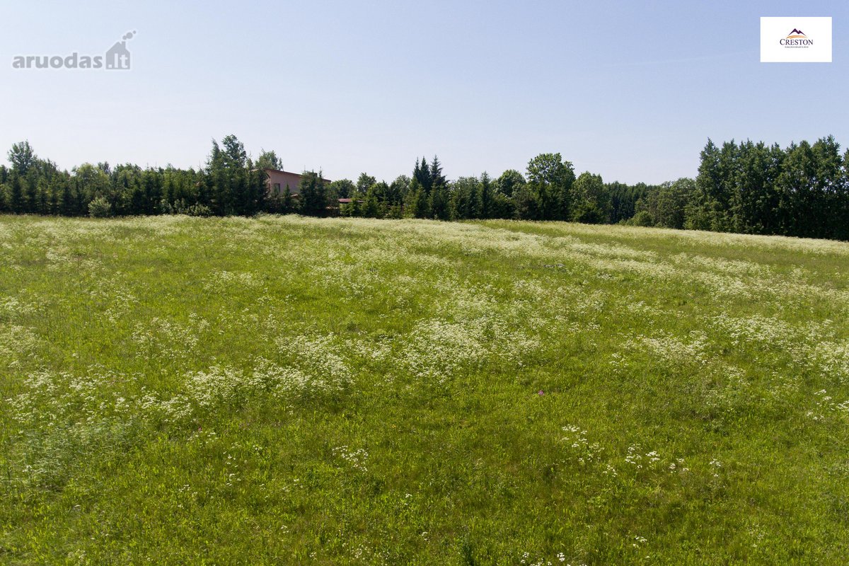 Parduodami įspūdingo grožio vietoje esantys - nuotraukos Nr. 29