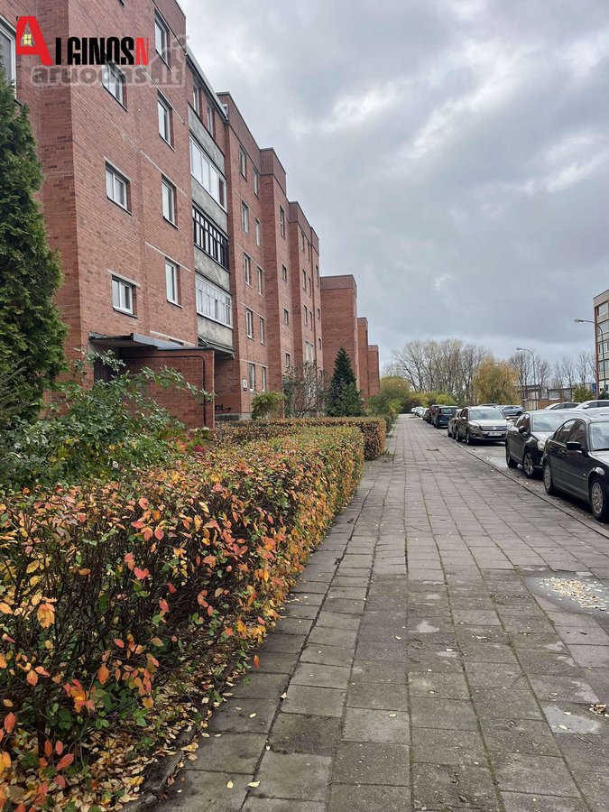 Klaipėdoje, Pietinės g. parduodamas dviejų - nuotraukos Nr. 9