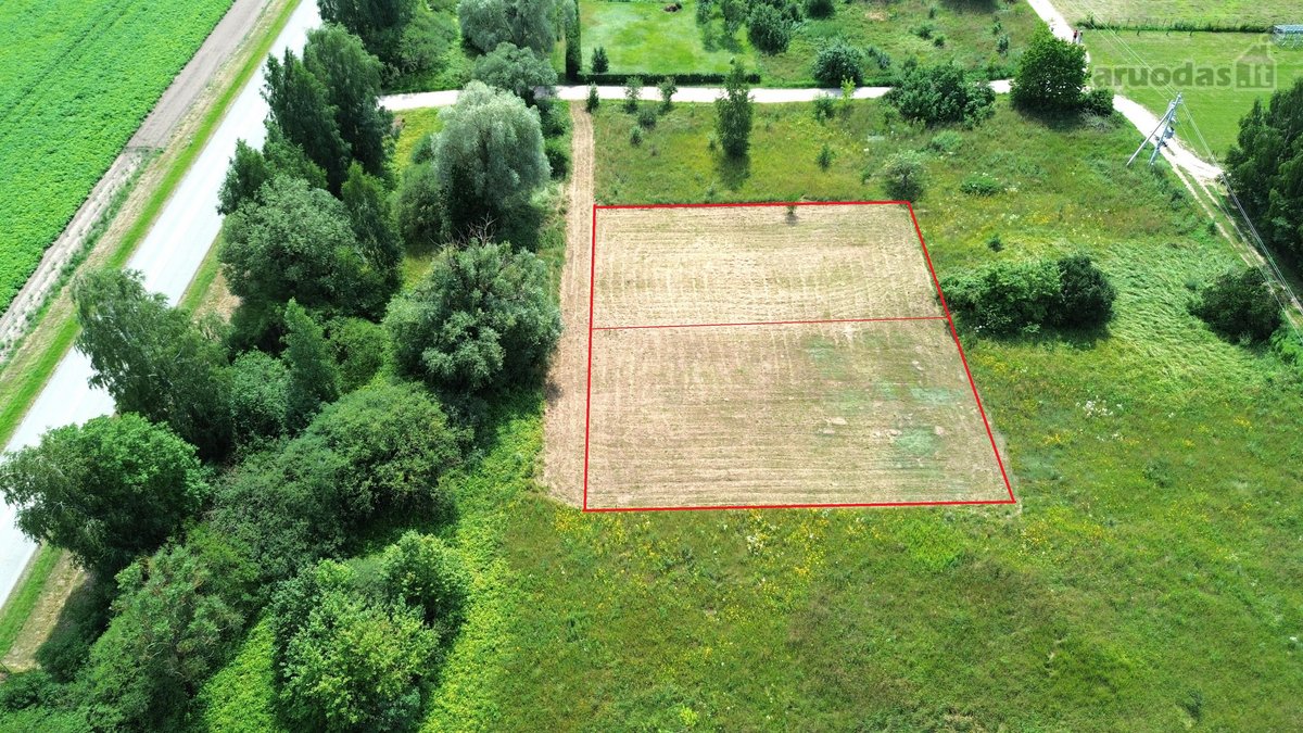Parduodami du 6 arų sodo sklypai – bendras - nuotraukos Nr. 6