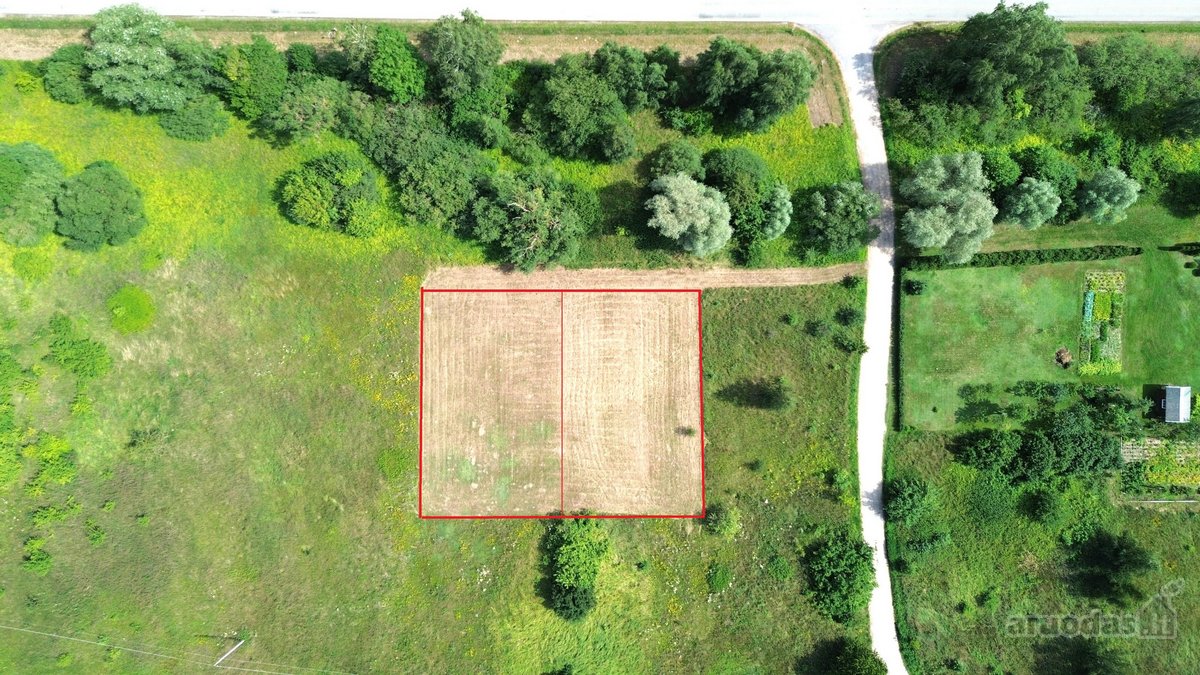 Parduodami du 6 arų sodo sklypai – bendras - nuotraukos Nr. 7