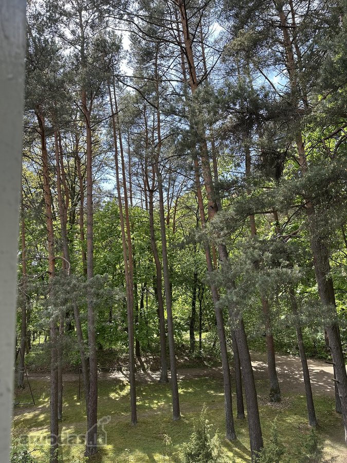 Parduodamas 3 kambarių butas unikalioje - nuotraukos Nr. 21