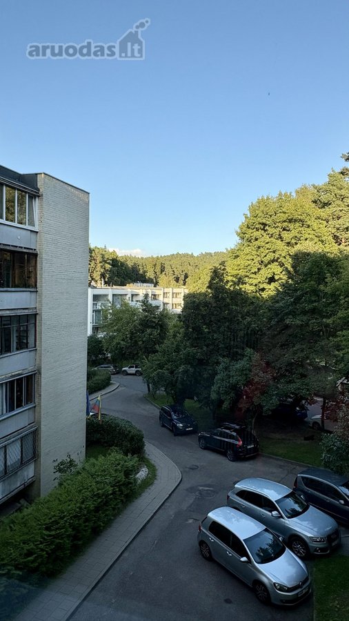 Jaunai porai arba šeimai gražioje vietoje, - nuotraukos Nr. 5