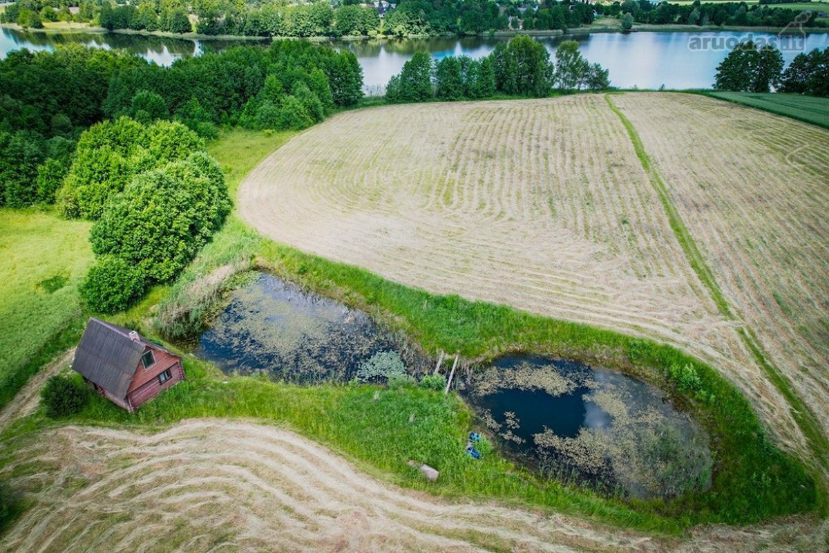 Tvarkinga Sodyba Su Ežero Pakrante, Tvenkiniu - nuotraukos Nr. 5
