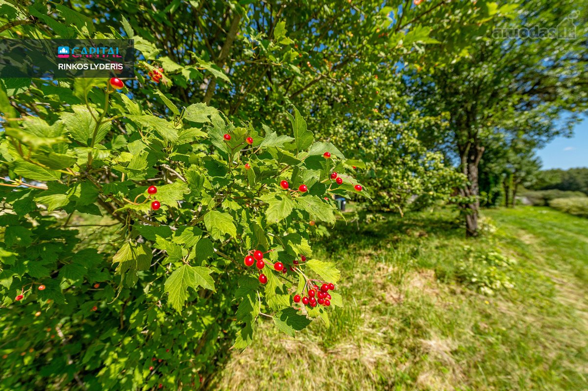 Žadžių k., Širvintų r. sav., parduodamas 0 - nuotraukos Nr. 12