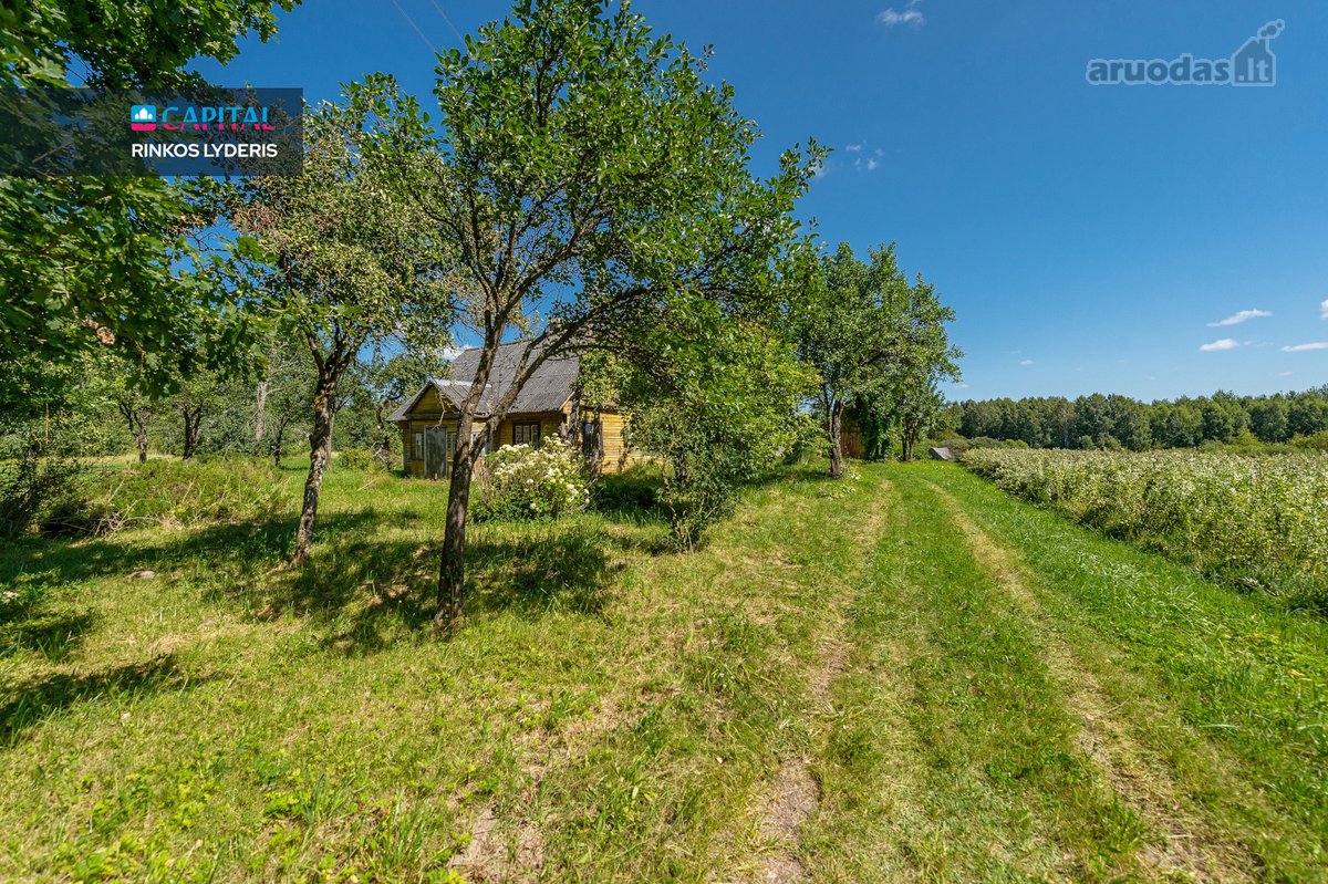 Žadžių k., Širvintų r. sav., parduodamas 0 - nuotraukos Nr. 14