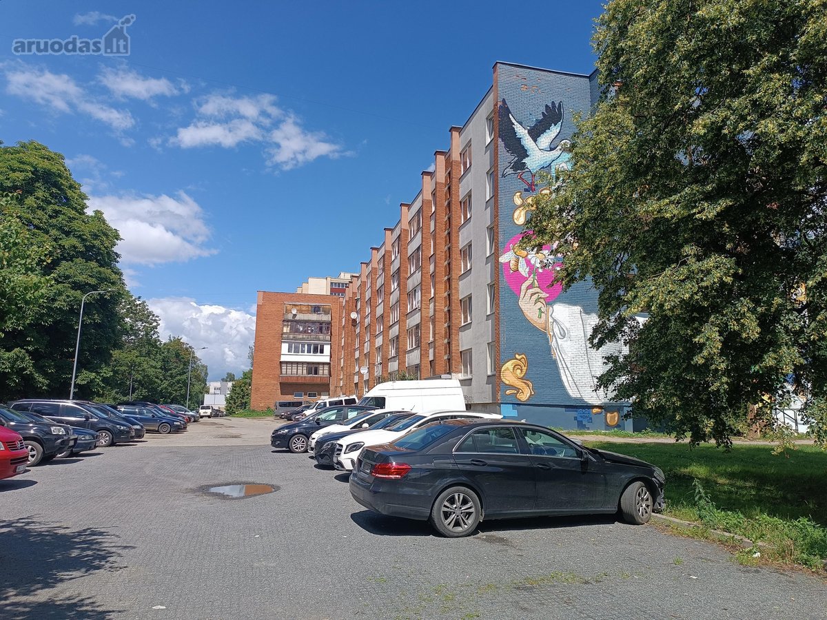 Labas, jei esi tvarkingas ir mokus, neturi - nuotraukos Nr. 13