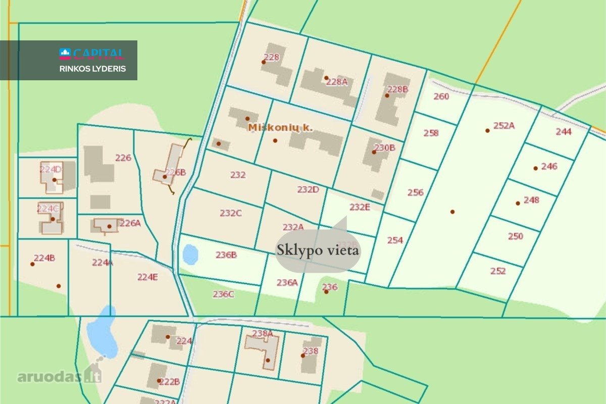 Įsikurkite gamtos ir estetikos apsuptyje – - nuotraukos Nr. 4