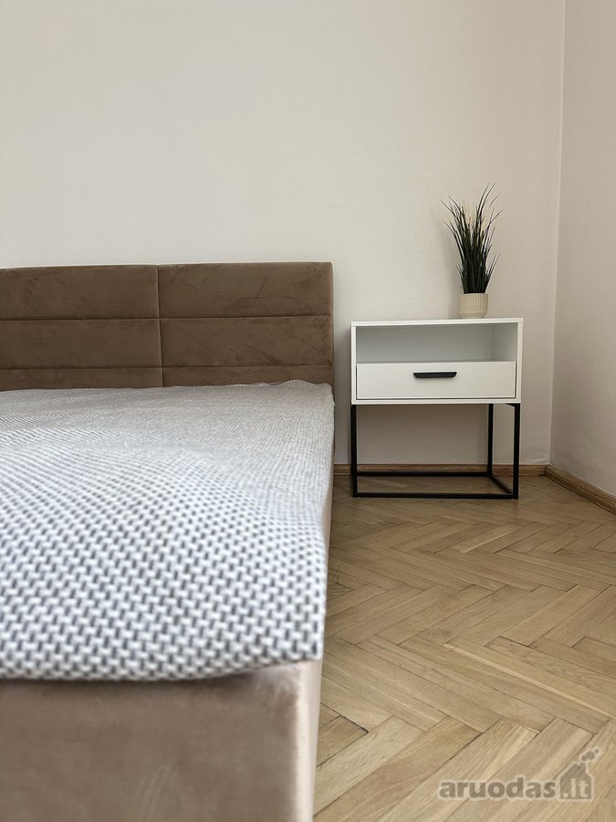 Išnuomojamas erdvus ir šviesus 3 kambarių - nuotraukos Nr. 3