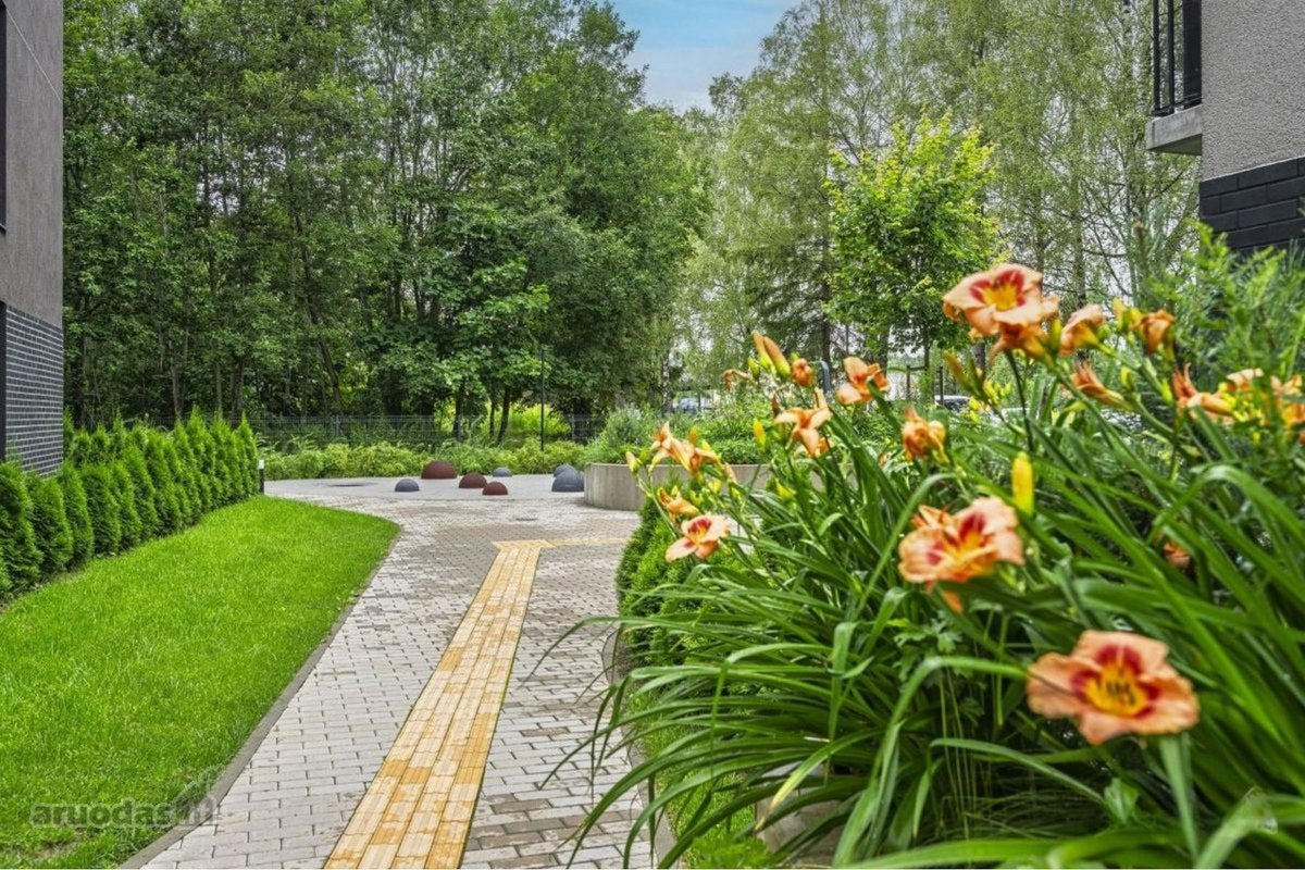 Nuomojamas Naujai Įrengtas 2 Kambarių Butas - nuotraukos Nr. 20