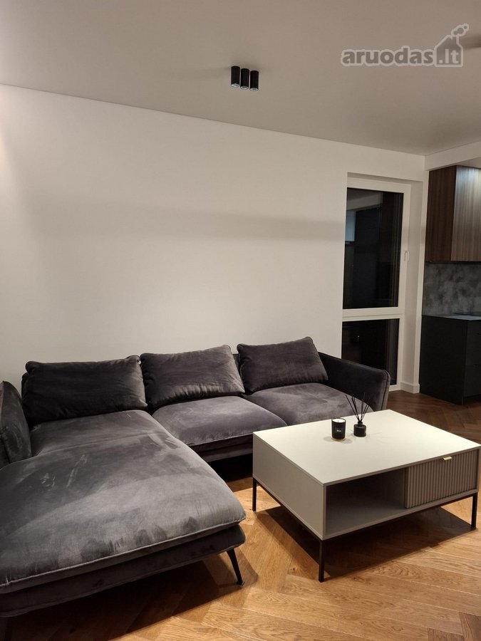 Nuomojamas Naujai Įrengtas 2 Kambarių Butas - nuotraukos Nr. 12