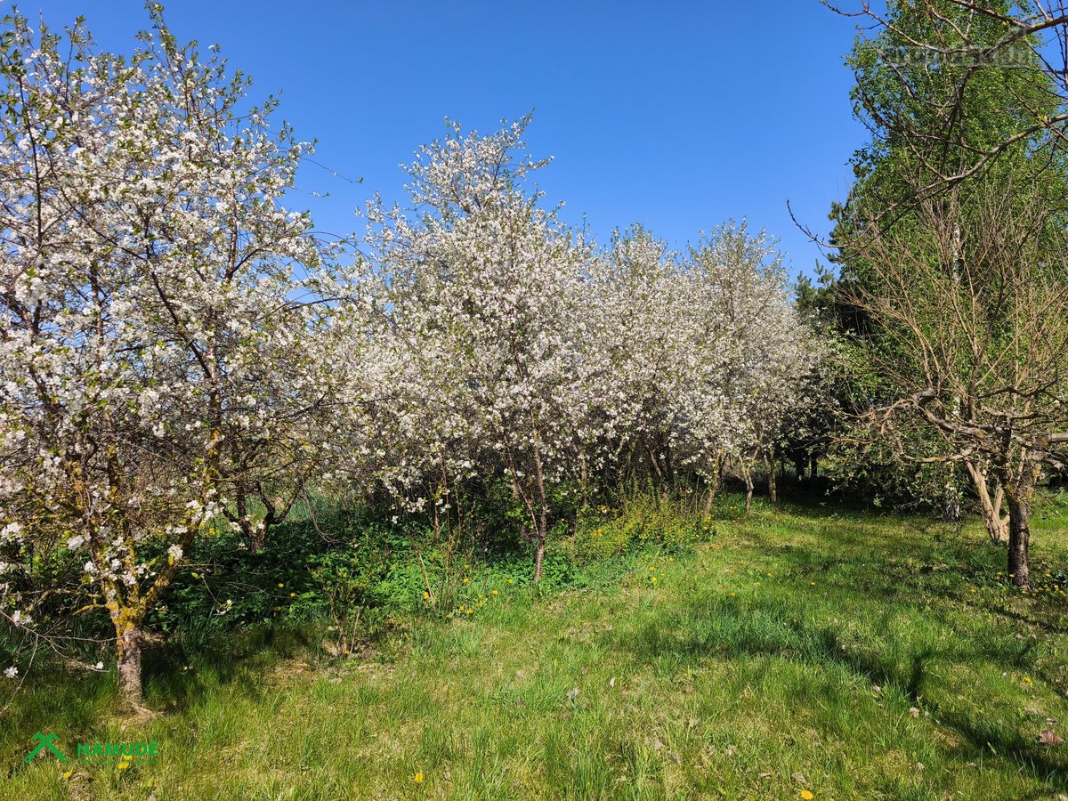 Parduodama Rąstinė Sodyba Su Tvenkiniu Biržų - nuotraukos Nr. 16