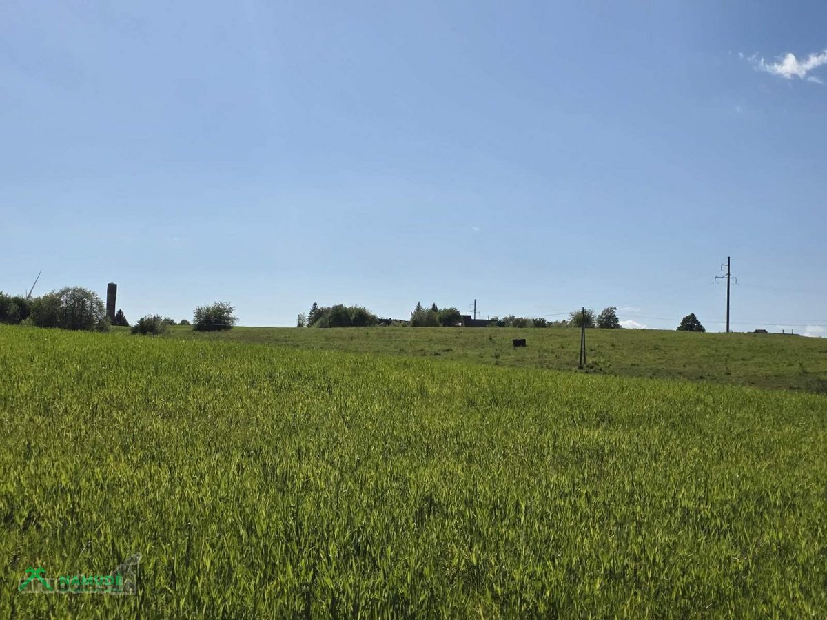 Parduodamas erdvus ir lygus 1,13 ha žemės - nuotraukos Nr. 5
