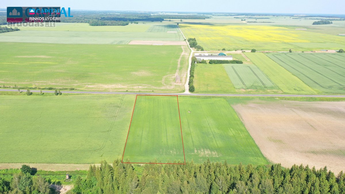 Parduodamas 78.61 a. žemės sklypas - nuotraukos Nr. 3
