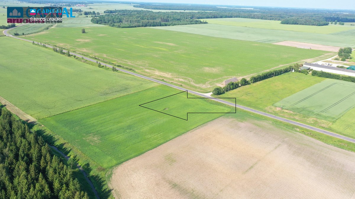 Parduodamas 78.61 a. žemės sklypas - nuotraukos Nr. 4