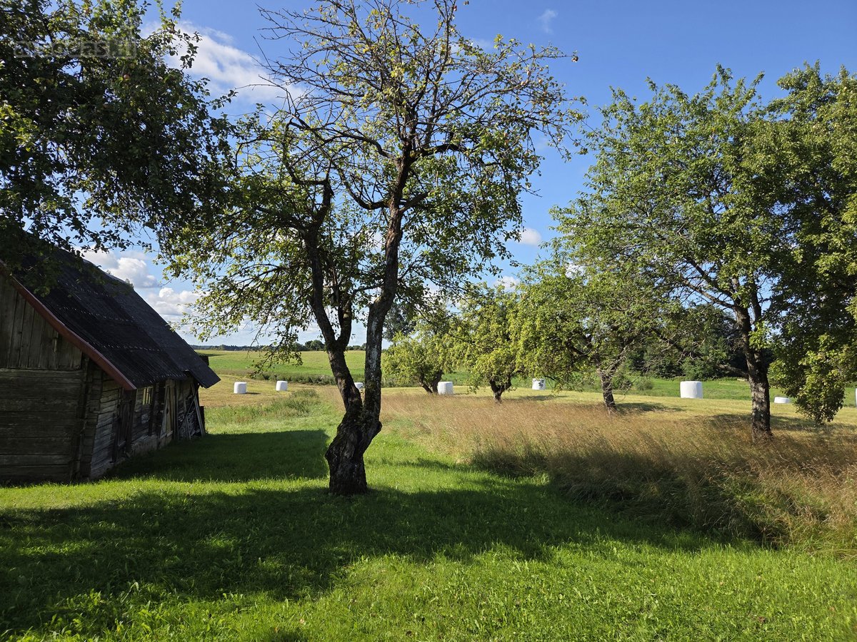 Parduodama Sodyba Su 3,1068 Ha Žemės Sklypu - nuotraukos Nr. 9