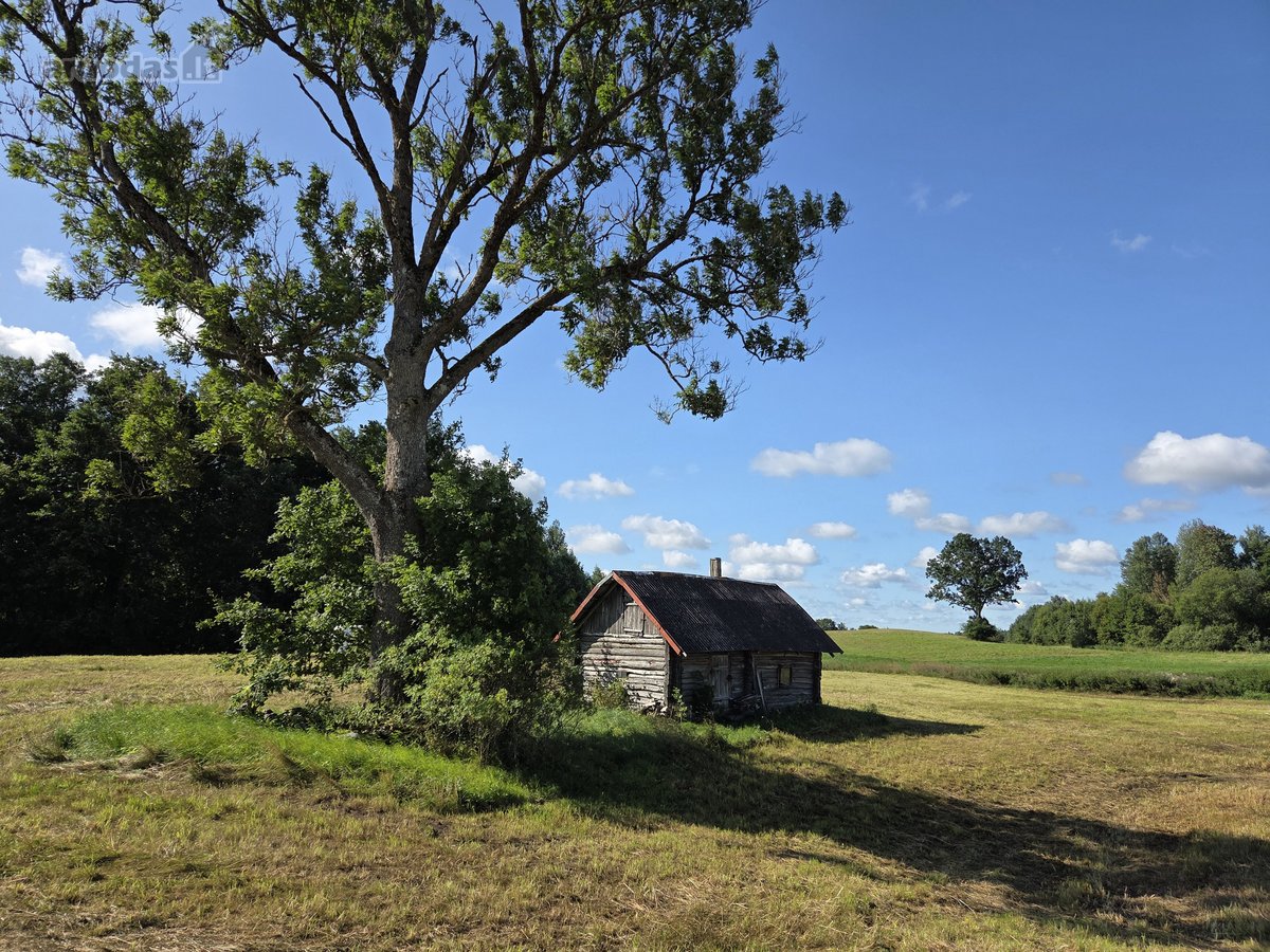 Parduodama Sodyba Su 3,1068 Ha Žemės Sklypu - nuotraukos Nr. 11