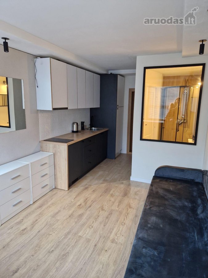 Jaukus 1 kambario butas Vingio parko pašonėje - nuotraukos Nr. 3