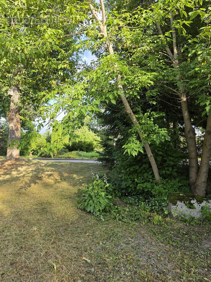 *Parduodamas namas miesto centre – puiki - nuotraukos Nr. 74