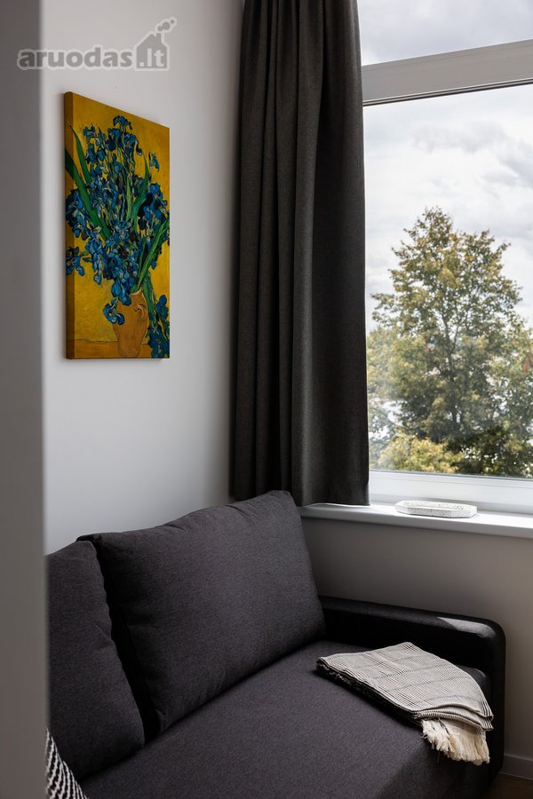Nuomojama Visiškai Naujai Įrengta 1 Kambario - nuotraukos Nr. 12