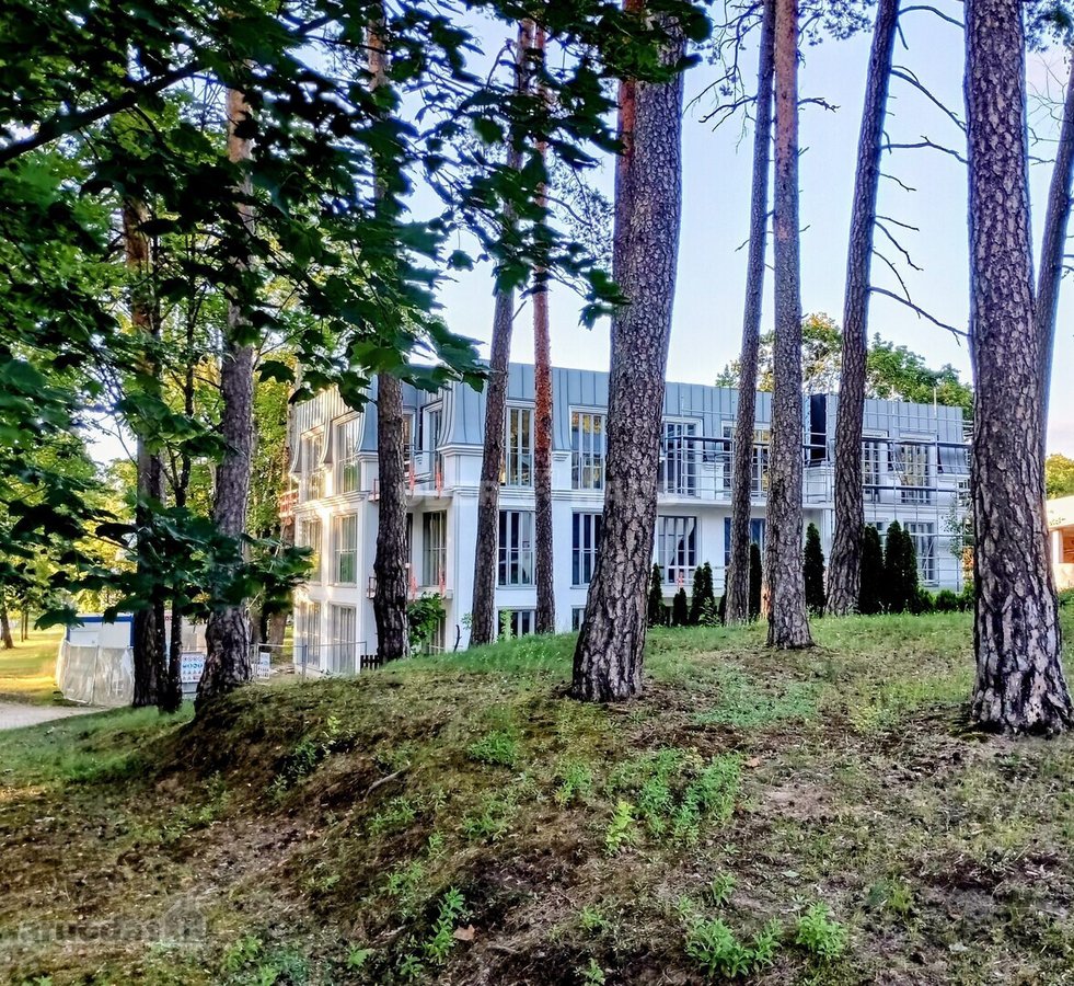 Gyventi ir poilsiauti Druskininkuose, reiškia - nuotraukos Nr. 4
