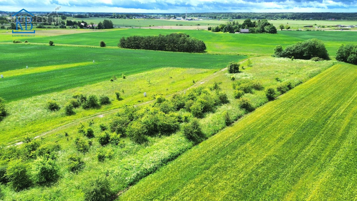 Parduodamas 12 a. sklypas, Mitkūnų k., Kauno r. - nuotraukos Nr. 11