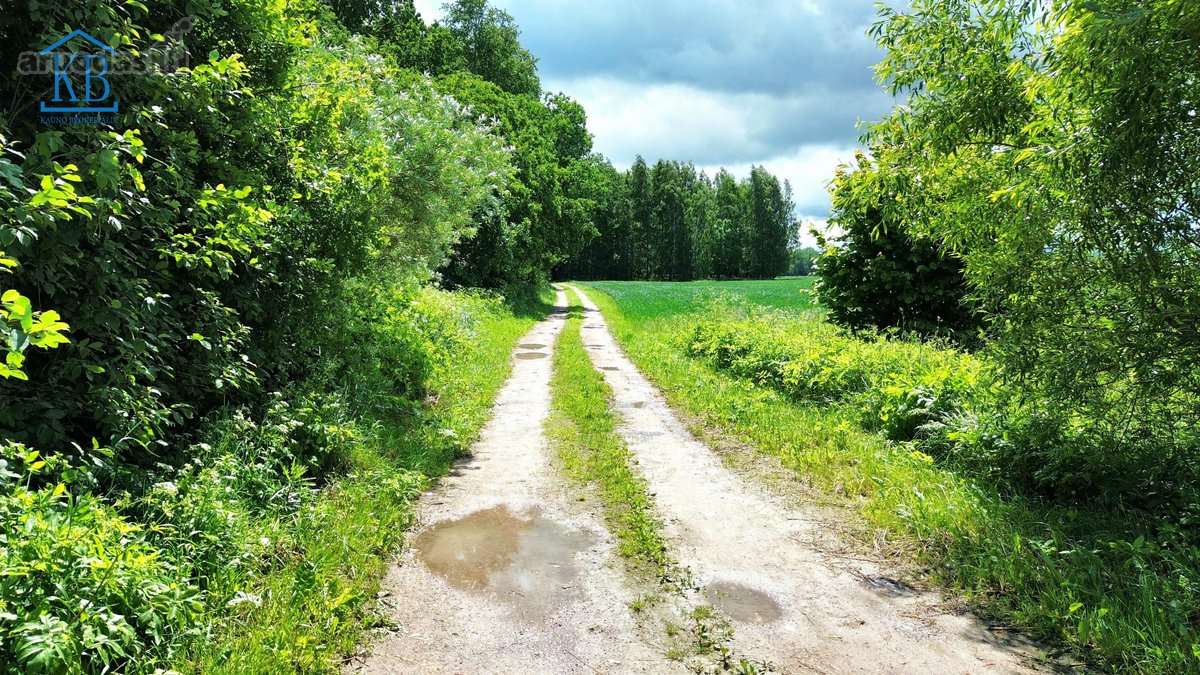 Parduodamas 12 a. sklypas, Mitkūnų k., Kauno r. - nuotraukos Nr. 17