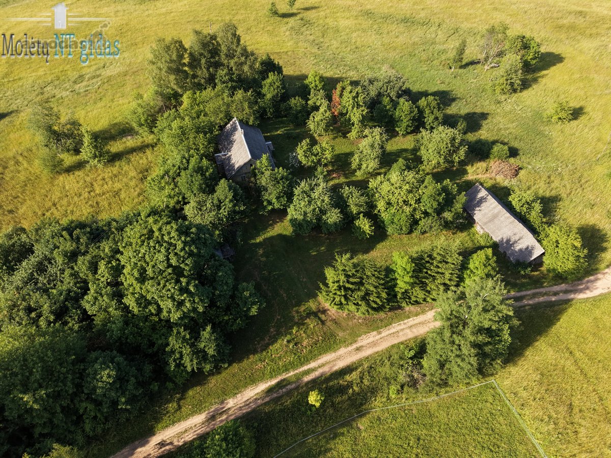 Jauki sodyba ant kalvelės – 63 arų sklypas - nuotraukos Nr. 5